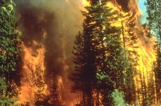 Daytime wildfire in California. ICS is designed to coordinate emergency response. It is not designed for Continuity of Operations following a disaster. Photo credit BLM public domain